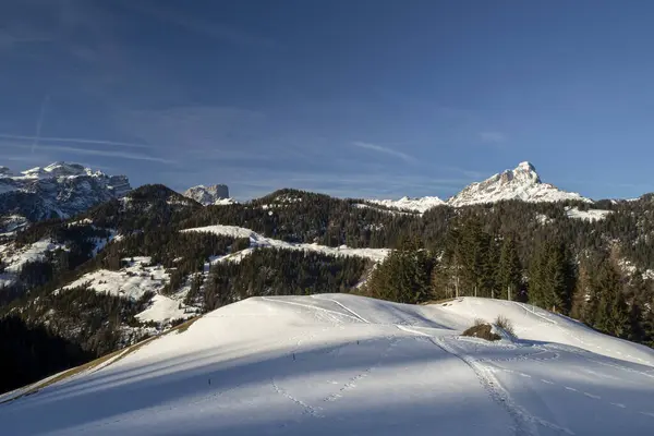 Dolomites Snow Panorama Val Badia Armentara Hill — ストック写真