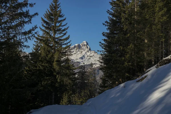 Dolomitas Nieve Panorama Val Badia Armentara Colina —  Fotos de Stock