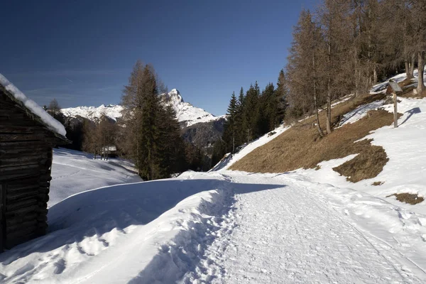 Dolomites Snow Panorama Wooden Hut Val Badia Armentara Hill — ストック写真