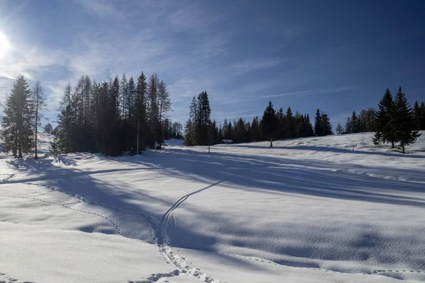 Dolomites Snow Panorama Wooden Hut Val Badia Armentara Hill — Foto Stock