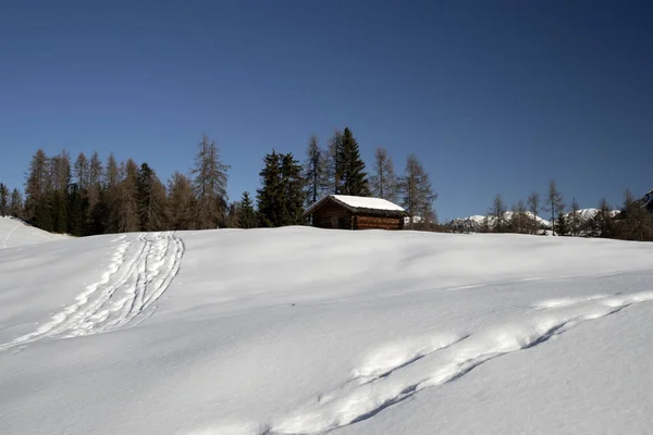 Dolomites Snow Panorama Wooden Hut Val Badia Armentara Hill — Stok fotoğraf
