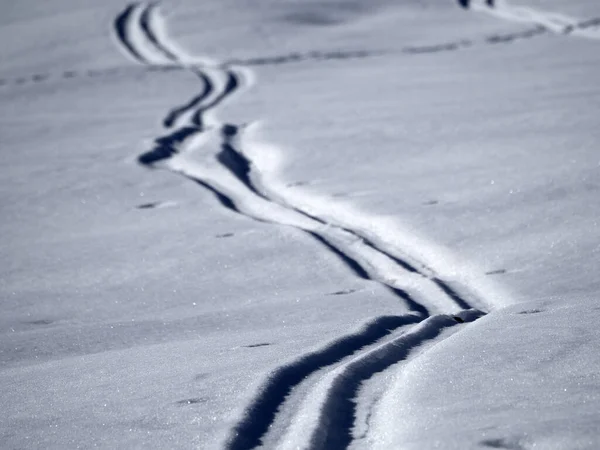 Dolomites Snow Panorama Alpine Ski Tracks Detail Slope Track — Zdjęcie stockowe