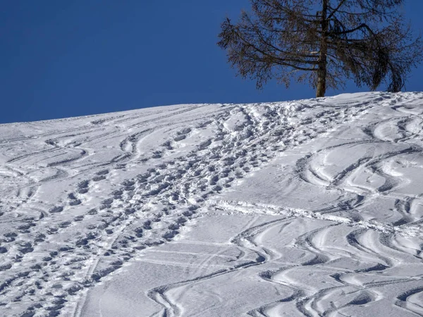 Dolomites Snow Panorama Alpine Ski Tracks Detail Slope Track — Stock Photo, Image