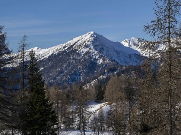 Dolomites Snow Panorama Val Badia Armentara Hill — Stock Fotó