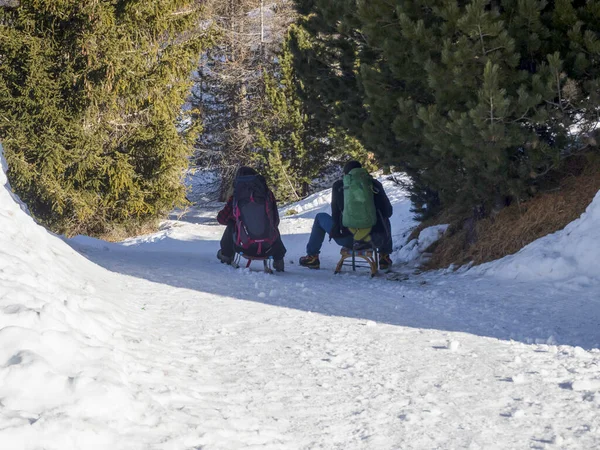 Wooden Sledge Snow Winter Season — 图库照片