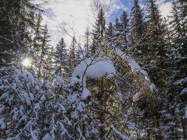 forest dolomites snow panorama wooden hut val badia armentarola hill