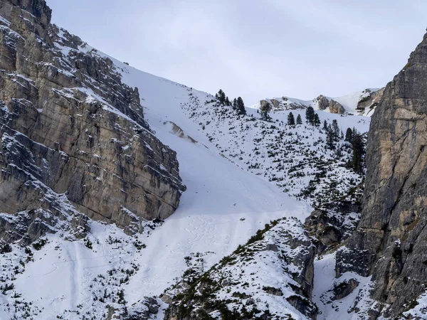 Φάνες Βουνίσιοι Δολομίτες Στο Χειμερινό Πανόραμα Χιόνι Τοπίο — Φωτογραφία Αρχείου