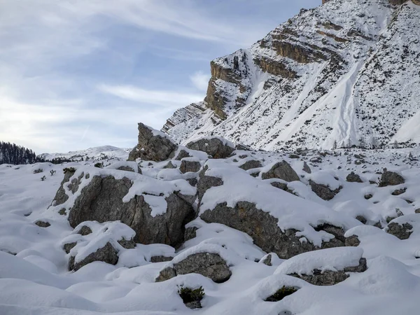 Φάνες Βουνίσιοι Δολομίτες Στο Χειμερινό Πανόραμα Χιόνι Τοπίο — Φωτογραφία Αρχείου