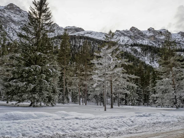 Фанес Горных Доломитов Зимней Панораме Снега Пейзаж — стоковое фото