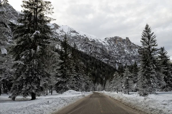 Fanes Montagna Dolomiti Foresta Ghiacciata Inverno Panorama Neve Paesaggio — Foto Stock