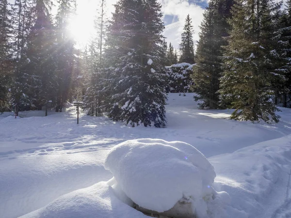 Wald Dolomiten Schnee Panorama Holzhütte Val Badia Armentarola Hügel — Stockfoto