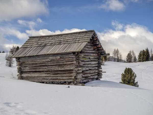 Dolomity Panorama Śniegu Drewniana Chata Val Badia Wzgórze Armentarola — Zdjęcie stockowe