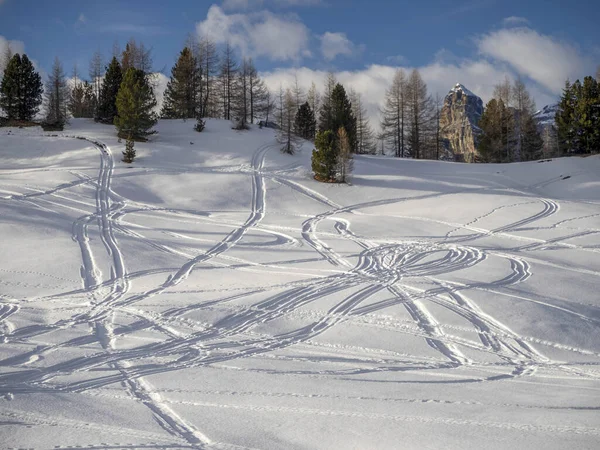 Dolomitas Nieve Panorama Pistas Esquí Alpino Detalle Fuera Pista Pendiente —  Fotos de Stock