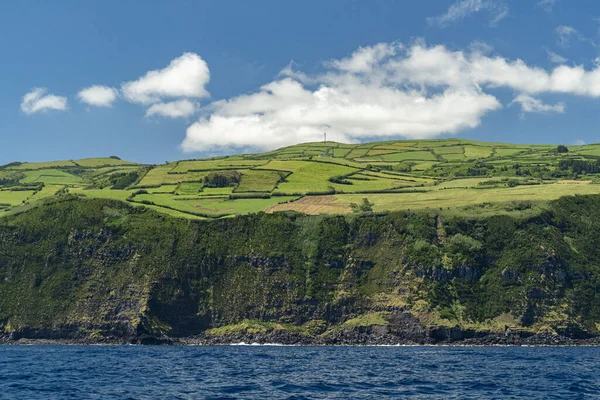 Faial Island Azores Cliff View Sea Landscape — Stock Photo, Image