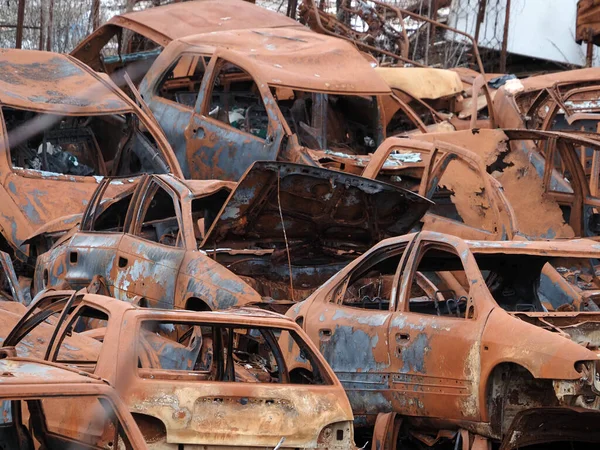 Junkyard Old Rusted Car Field View — Stock Photo, Image