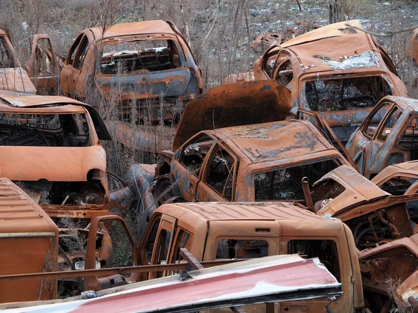 Junkyard Old Rusted Car Field View — Stock Photo, Image
