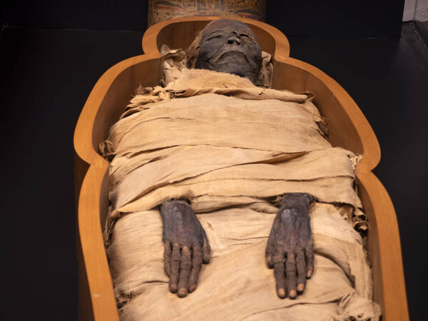 Egyptian mummy detail close up