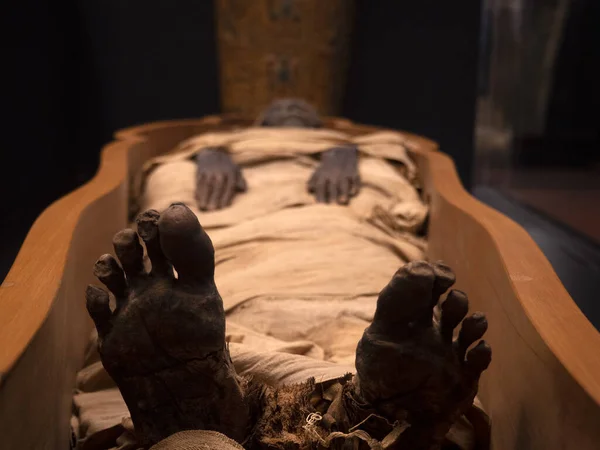 Detaliul Mumiei Egiptene Închide — Fotografie, imagine de stoc
