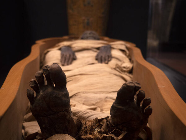 Egyptian mummy detail close up