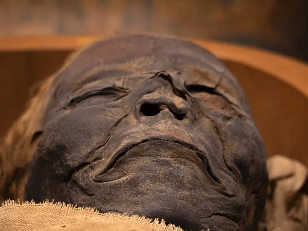 Mumia Egipteană Închide — Fotografie, imagine de stoc