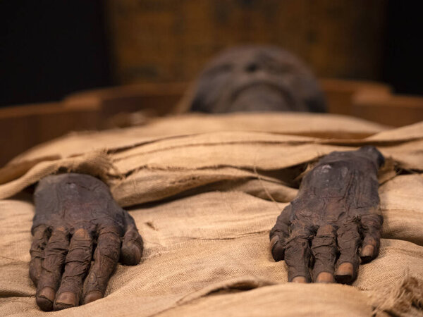 Egyptian mummy hands close up