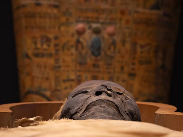 Mumia Egipteană Închide — Fotografie, imagine de stoc