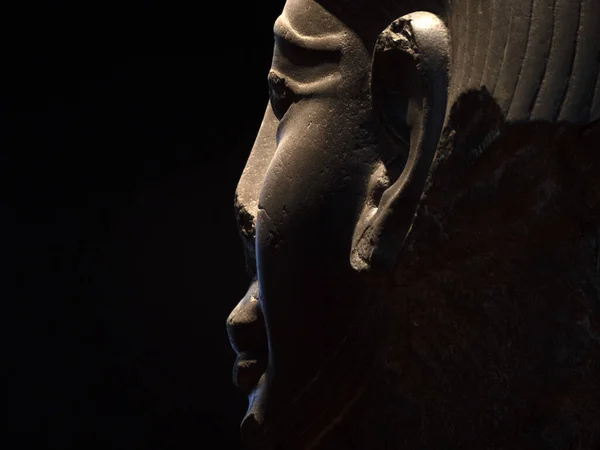 エジプトの石棺の象形文字が閉じられ — ストック写真