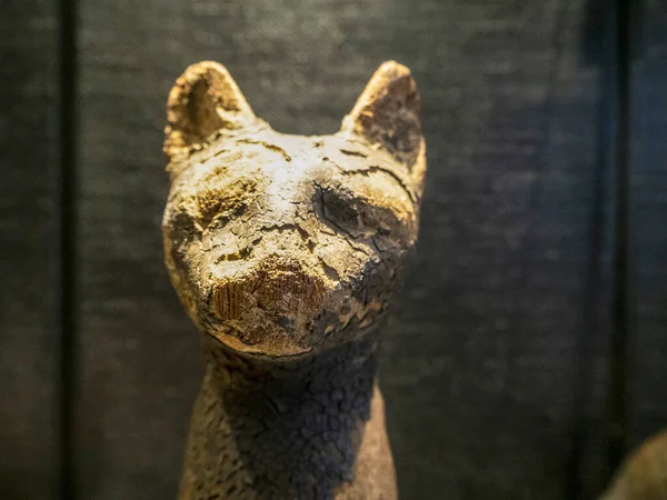 Gato Egípcio Estátua Isolada Fundo Preto — Fotografia de Stock