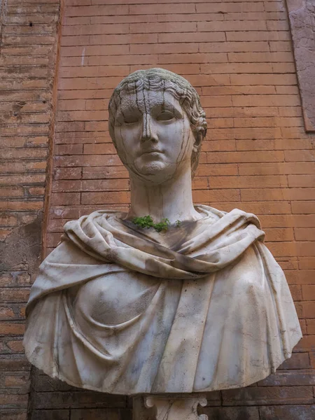 Gras Groeiend Oud Romeins Marmer Klassiek Standbeeld — Stockfoto