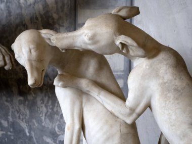 Roma heykeli hayvan eski mermer heykel detay köpeği