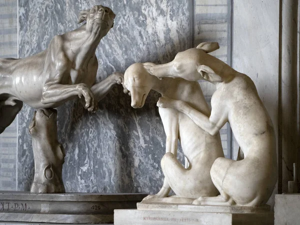 Rzymski Posąg Zwierzę Stary Marmur Rzeźba Szczegółowo Pies — Zdjęcie stockowe
