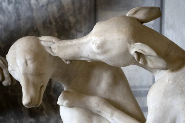 Rzymski Posąg Zwierzę Stary Marmur Rzeźba Szczegółowo Pies — Zdjęcie stockowe