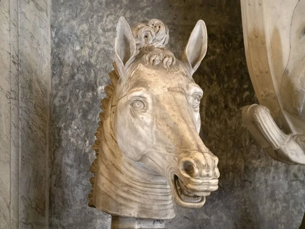 Estatua Romana Animal Viejo Mármol Escultura Detalle Caballo —  Fotos de Stock