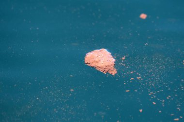 Mavi balina kırmızı krill dışkısı 