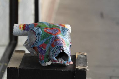 Meksika, Baja California 'da boyanmış inek kafatası.