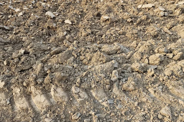 Dry Soil Farming Field Detail — Stock Photo, Image