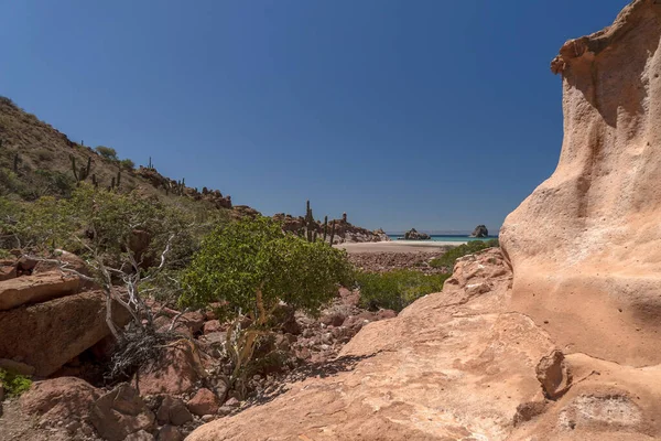墨西哥海景下的火山岩和石质玄武岩 — 图库照片