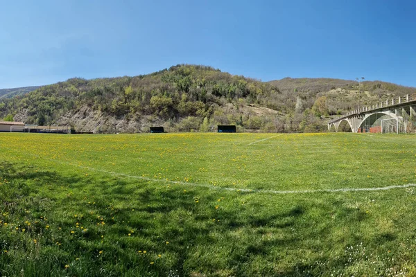 晴れた日には黄色の花を持つカントリーサッカー場の緑の草 — ストック写真