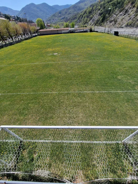 Country Soccer Field Green Grass Yellow Flowers Sunny Day — стоковое фото