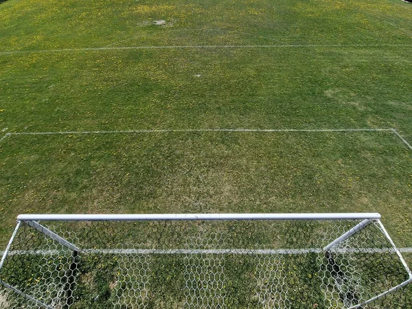 Campo Calcio Campagna Erba Verde Con Fiori Gialli Nella Giornata — Foto Stock