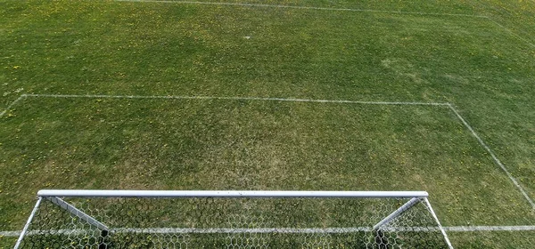 Land Voetbalveld Groen Gras Met Gele Bloemen Zonnige Dag — Stockfoto