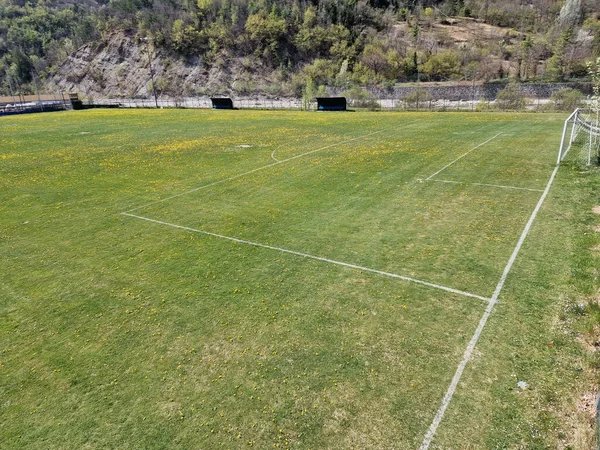 Country Soccer Field Green Grass Yellow Flowers Sunny Day — стоковое фото