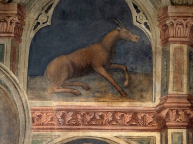 Padova Palazzo Della Ragione eski ortaçağ hukuk mahkemesi adalet salonu binası.