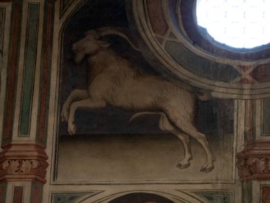 Padova Palazzo Della Ragione eski ortaçağ hukuk mahkemesi adalet salonu binası.