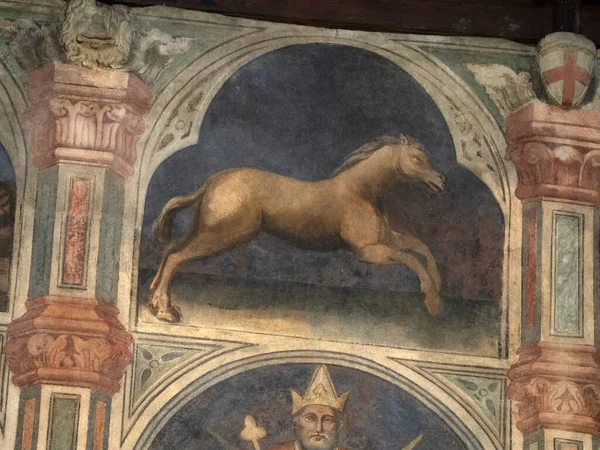 Padova Palazzo Della Ragione Ancien Palais Justice Médiéval — Photo