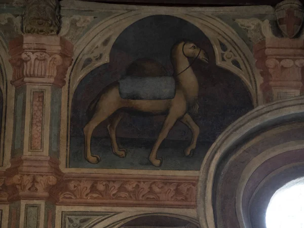 Padova Palazzo Della Ragione eski ortaçağ hukuk mahkemesi adalet salonu binası.