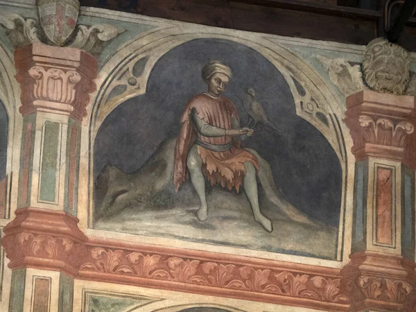 Padova Palazzo Della Ragione Altes Mittelalterliches Gerichtsgebäude — Stockfoto