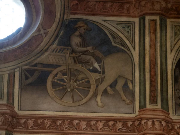 Padova Palazzo Della Ragione eski ortaçağ hukuk mahkemesi adalet salonu binası.