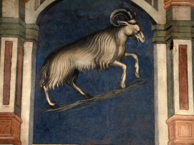 Padova Palazzo Della Ragione eski ortaçağ hukuk mahkemesi adalet salonu binası.