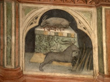 Padova Palazzo Della Ragione eski ortaçağ hukuk mahkemesi adalet salonu binası.